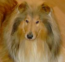 Mehr �ber Balou