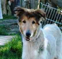 Mehr �ber Bruno