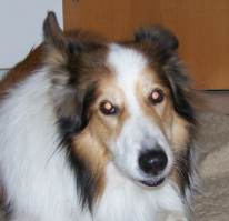Mehr �ber Charlie