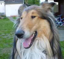Mehr �ber Charly