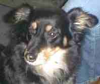 Mehr �ber Daisy