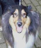 Mehr �ber Fame