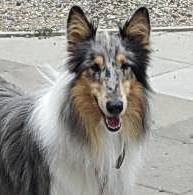 Mehr �ber Henri