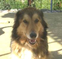 Mehr �ber Lady
