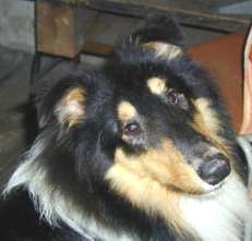 Mehr �ber Lucky