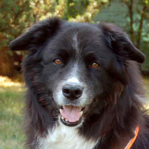 Mehr �ber Lucy