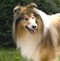Mehr �ber Percy