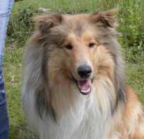 Mehr �ber Shadow
