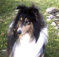 Mehr �ber Shadow