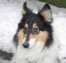 Mehr �ber Shila