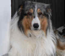Mehr �ber Toby